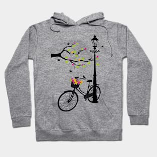 Old bicycle with lamp, flower basket, birds, tree Hoodie